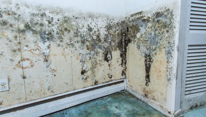 Mold Damager Odor Control Charleston, SC