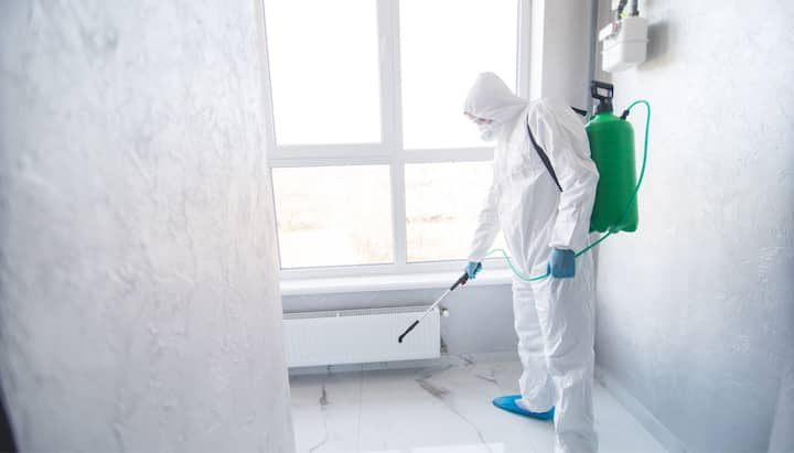 Mold Inspection Services Charleston, SC